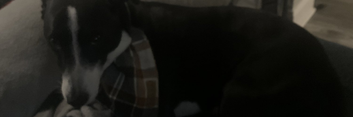 SeanSimon23's profile banner image