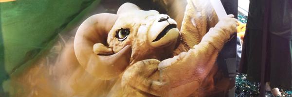 CSU_Williams Profile Banner