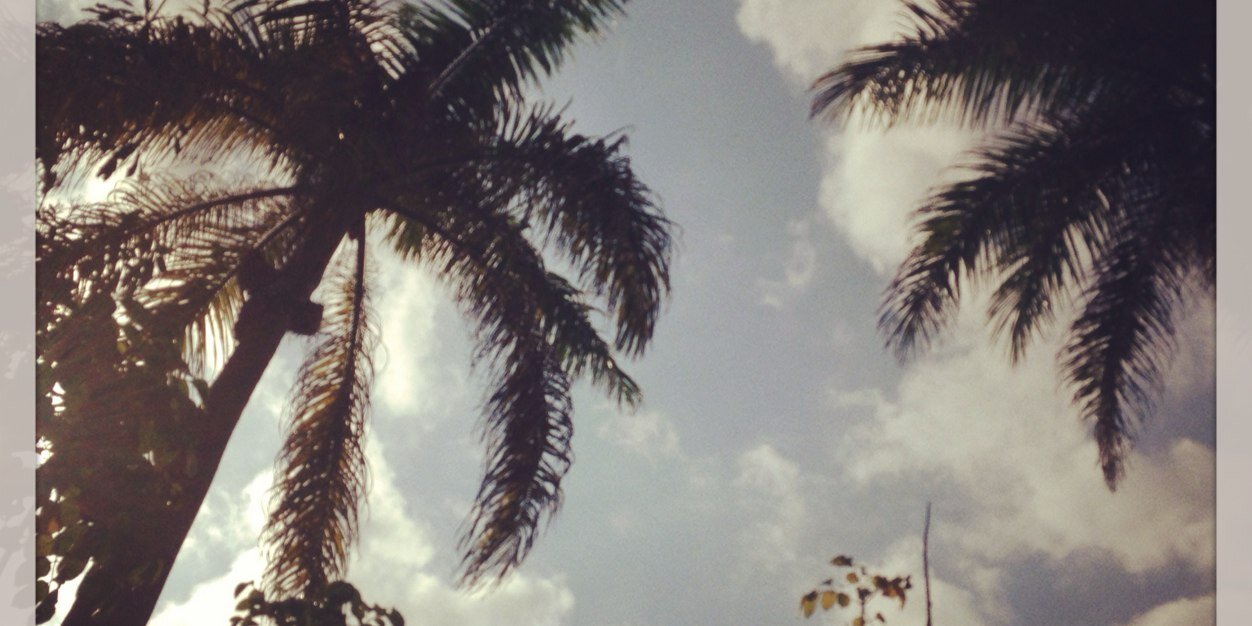 Roots Reggae Hub banner