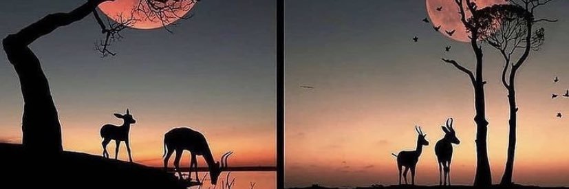 21moradi's profile banner image