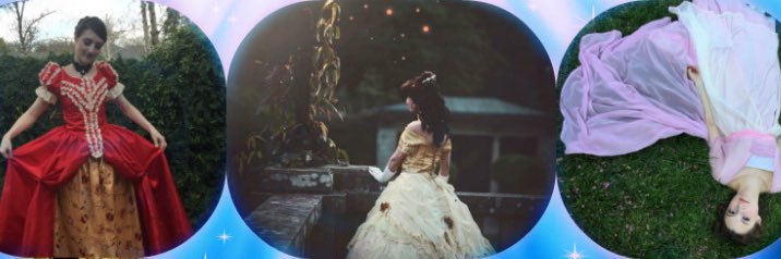 AnnEdelstein's profile banner image