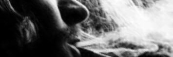 dkucai's profile banner image