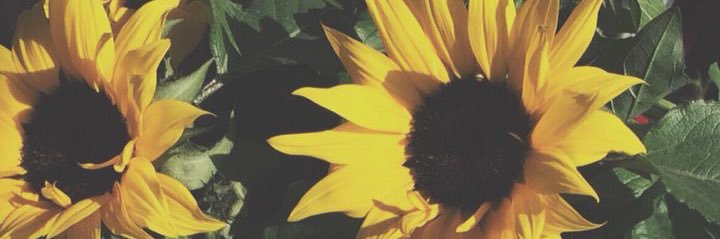 Queen_Michaelaa's profile banner image