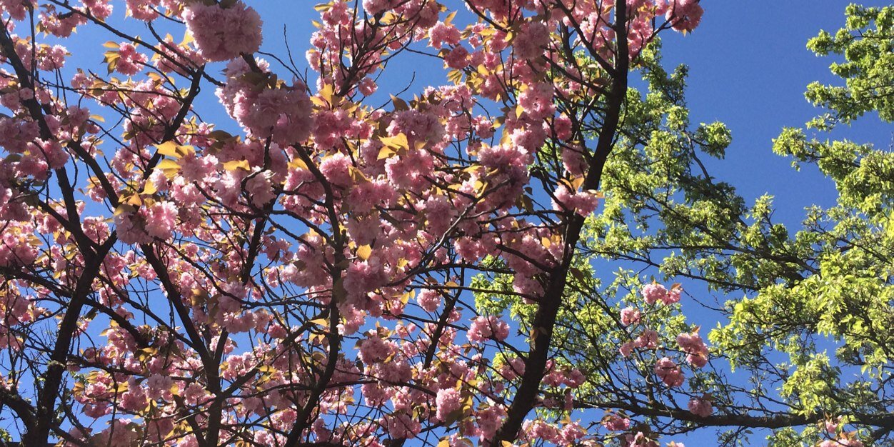 Melanie Heath banner