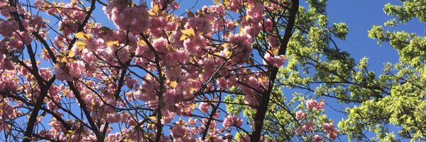 _melheath Profile Banner