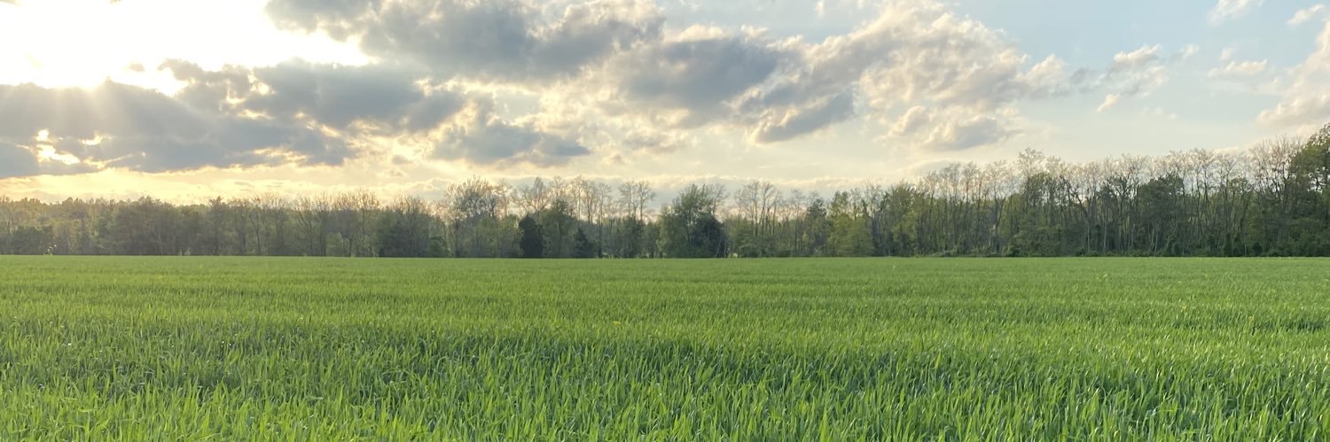 csm144's profile banner image