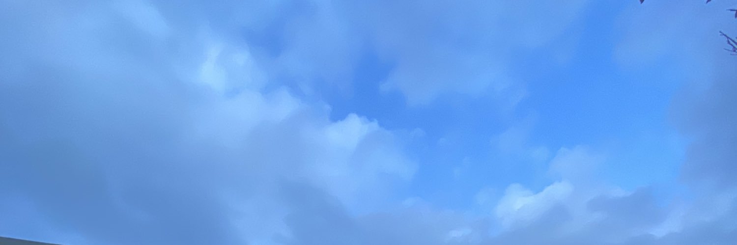 deshalena's profile banner image