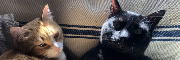 chnindia Profile Banner