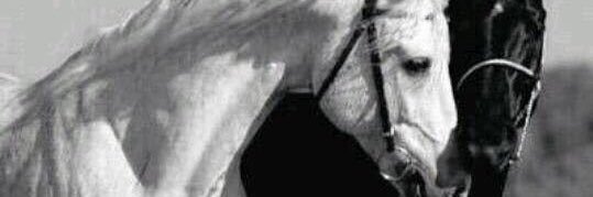 t0t_09's profile banner image