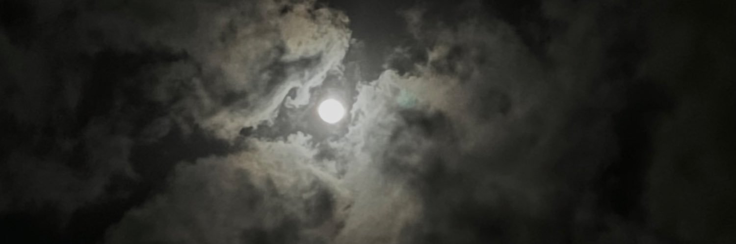 Mn_ali06's profile banner image