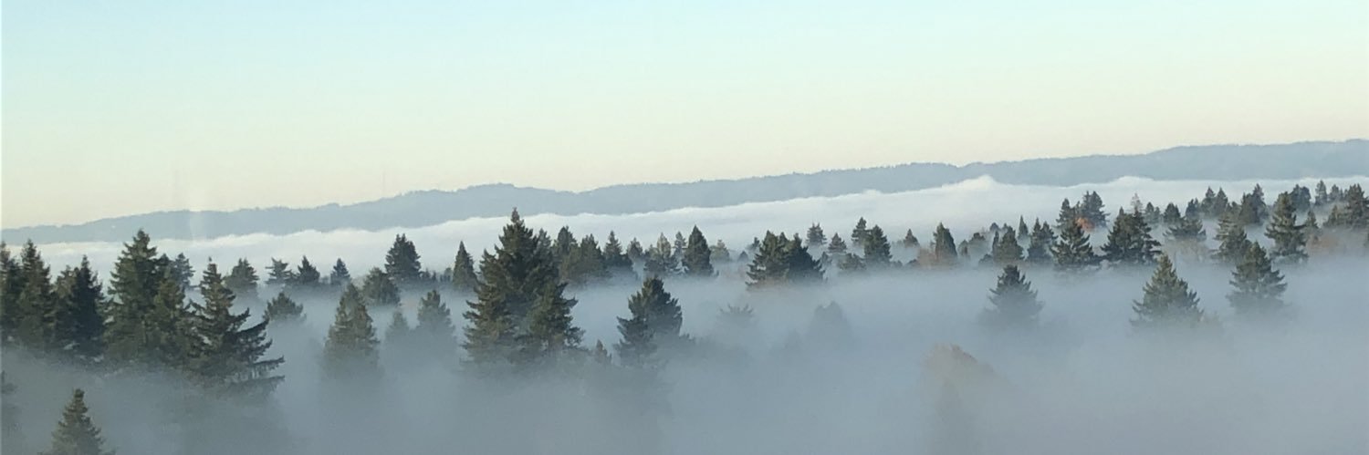 SLeesie's profile banner image
