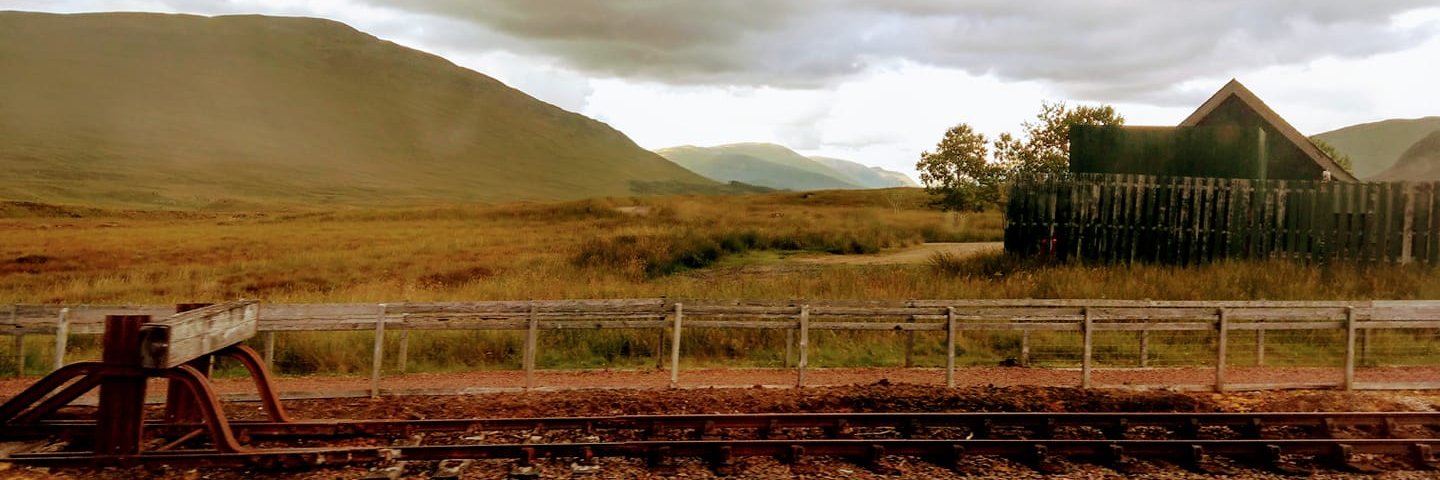 lozbloke's profile banner image