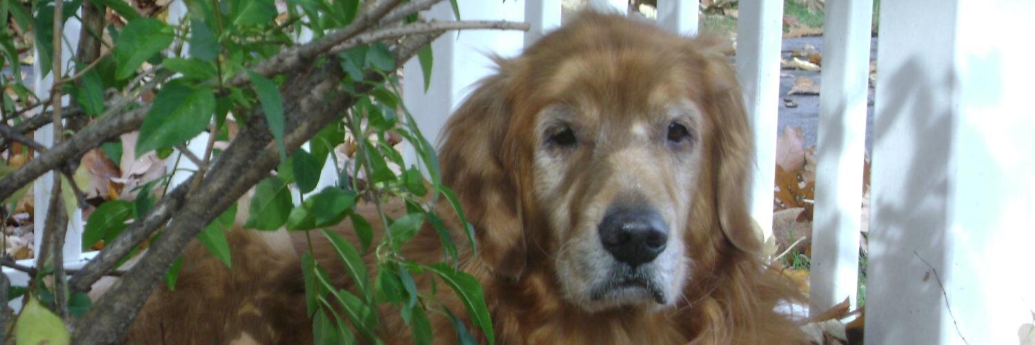 Erv Chambliss banner