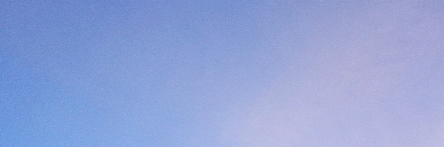 nuggetjpeg's profile banner image