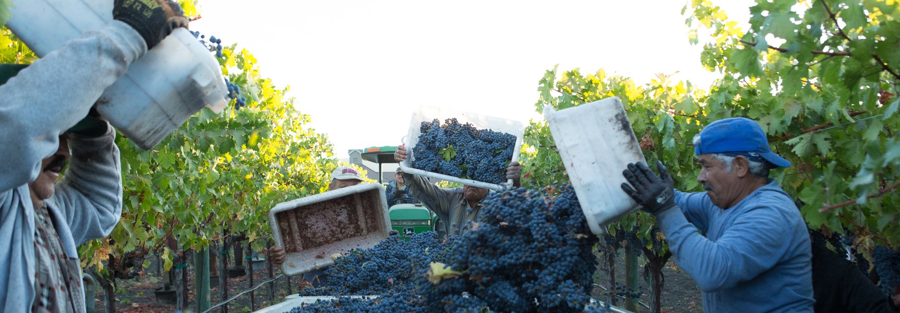 ParadigmWinery's profile banner image