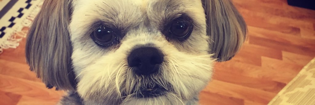 packmunson's profile banner image