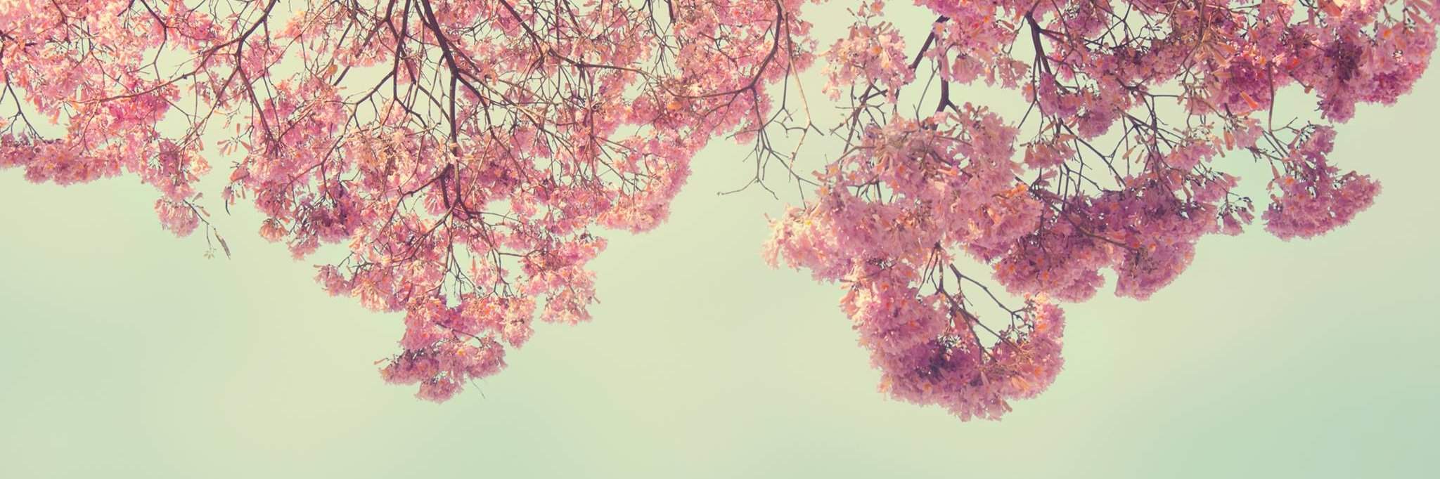 LocaCompleta's profile banner image