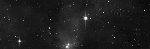 V. banner