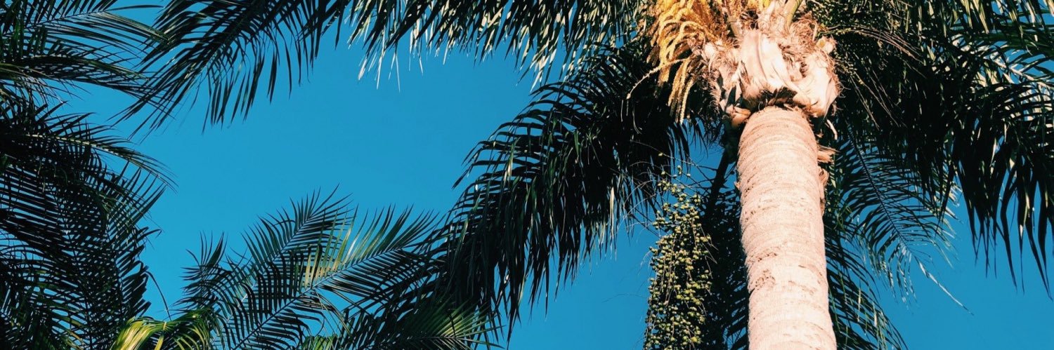 anageebee's profile banner image