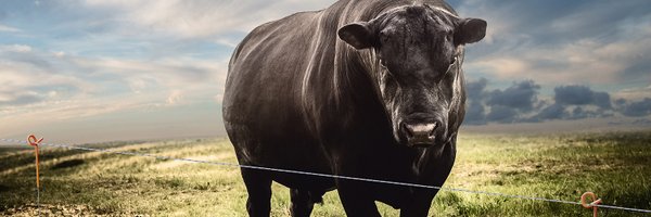 GallagherNA Profile Banner