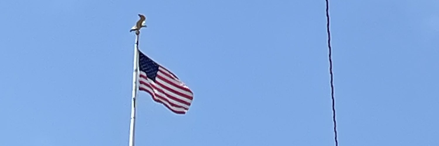 ng874's profile banner image