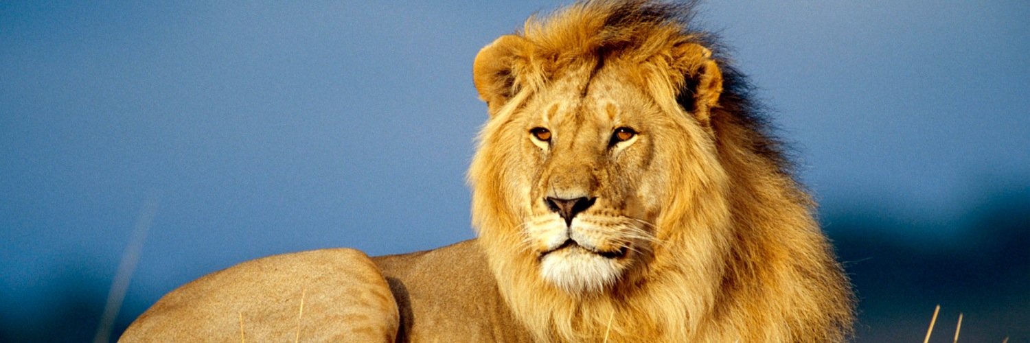 Joey_Suave's profile banner image