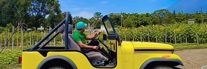 Otto_chaco10's profile banner image