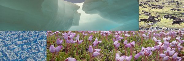 ArcticResearch Profile Banner