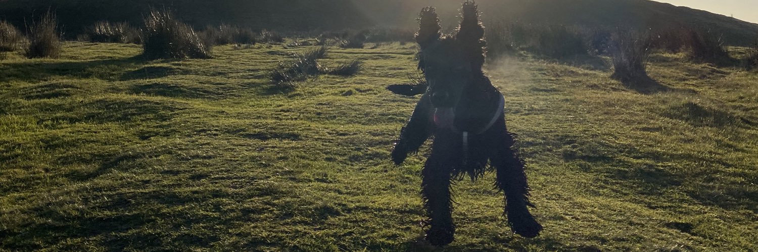 LewissWheelerr's profile banner image