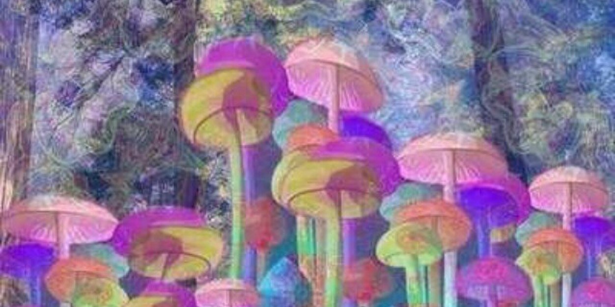 mislilcrazy's profile banner image