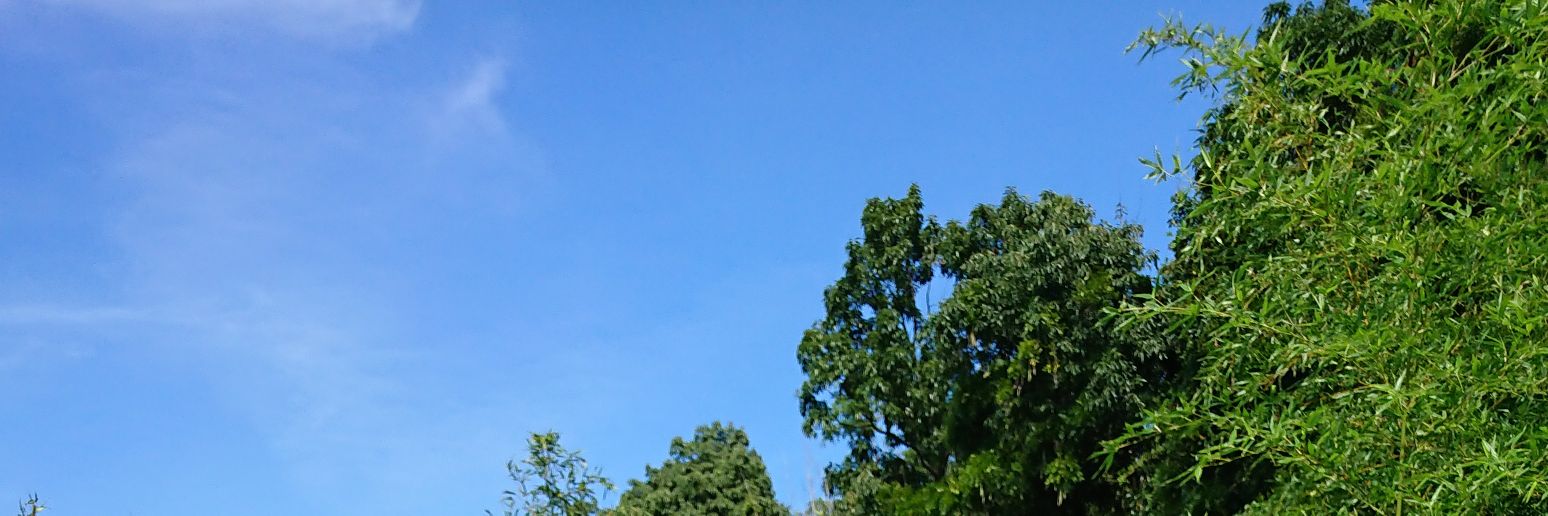 kaniVulcan's profile banner image