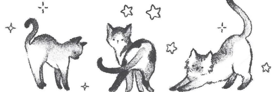 yaoistal's profile banner image