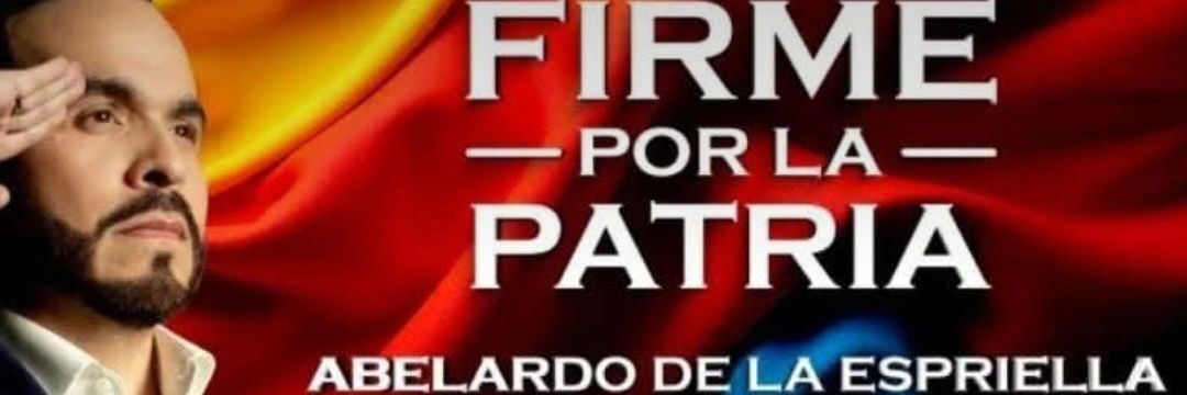 Luis Carlos F Vga banner