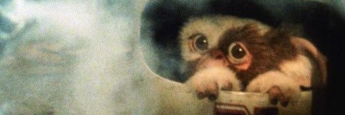 belly_hungry's profile banner image