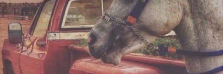 محمد الشمري banner