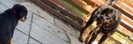 Dean_C00per's profile banner image