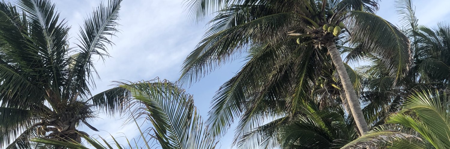 ohsshari's profile banner image