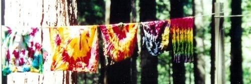 becky_eastham's profile banner image