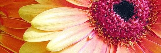 GMP626's profile banner image