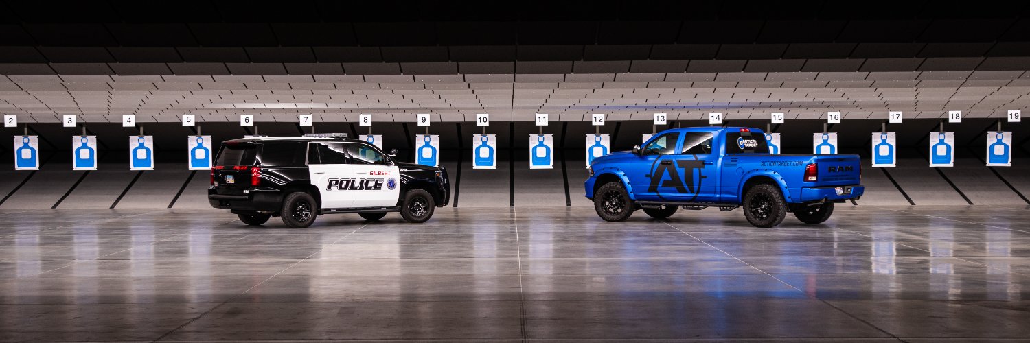 Action Target banner