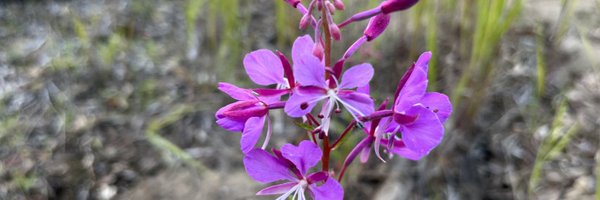 JasonGetgen Profile Banner