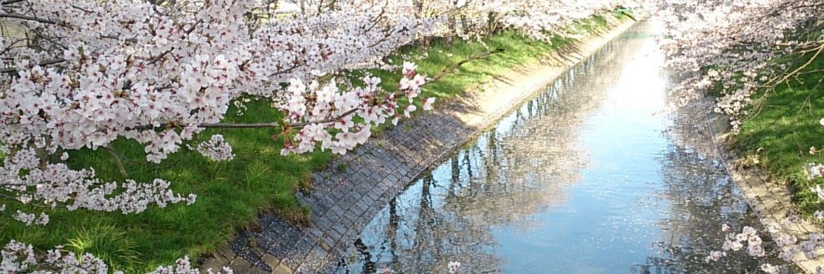 その banner
