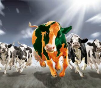 dkabbes's profile banner image