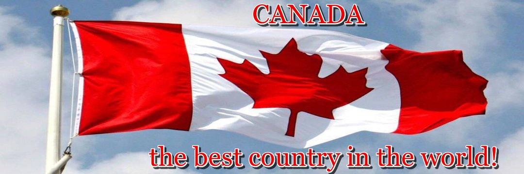 Lynne Irwin 🇨🇦's banner