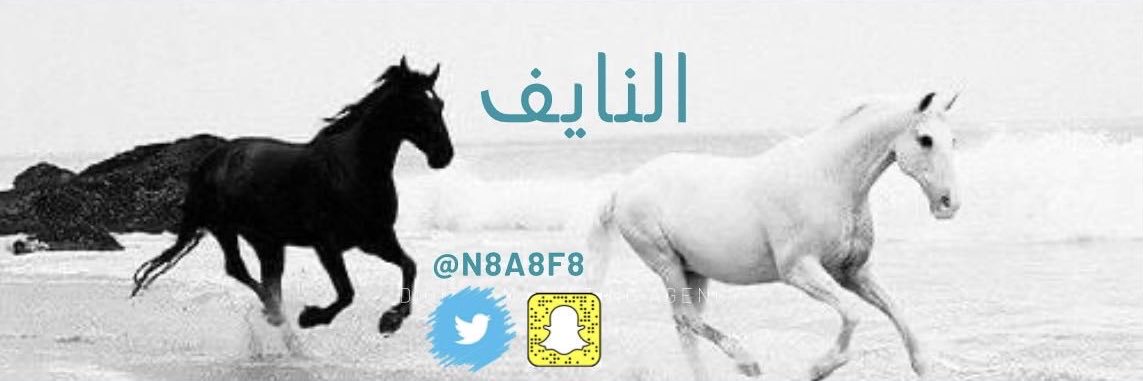 النايف🌟 banner