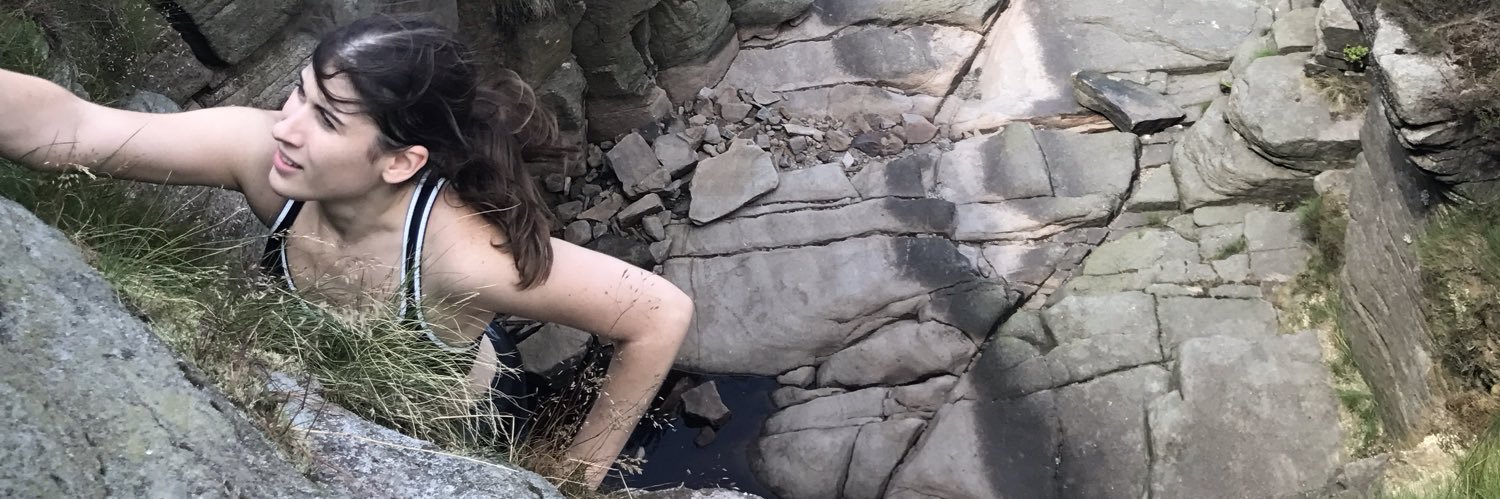 TaraDoesStuff's profile banner image
