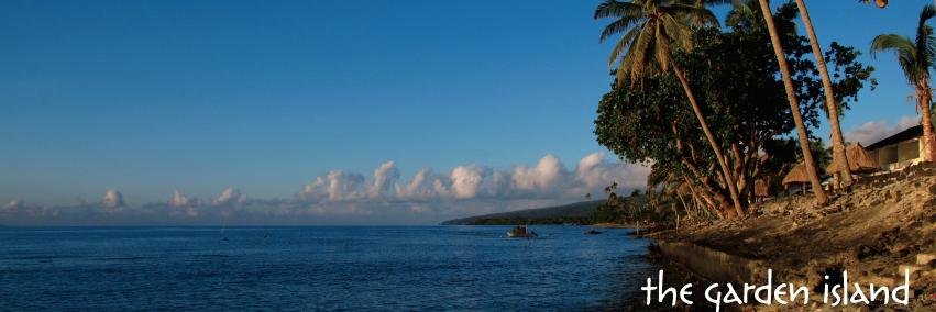 TaveuniIsland's profile banner image
