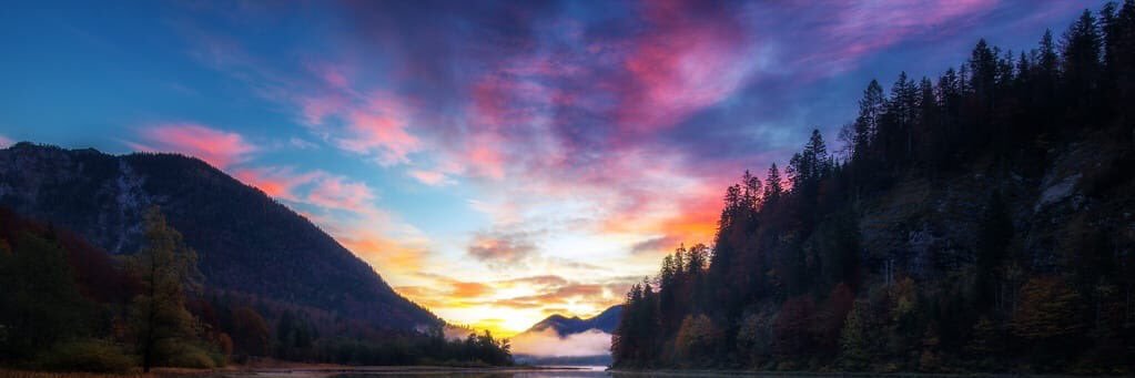 savderoche's profile banner image