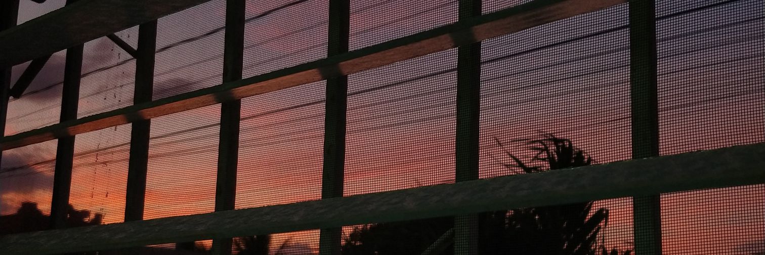 arelyrdc's profile banner image