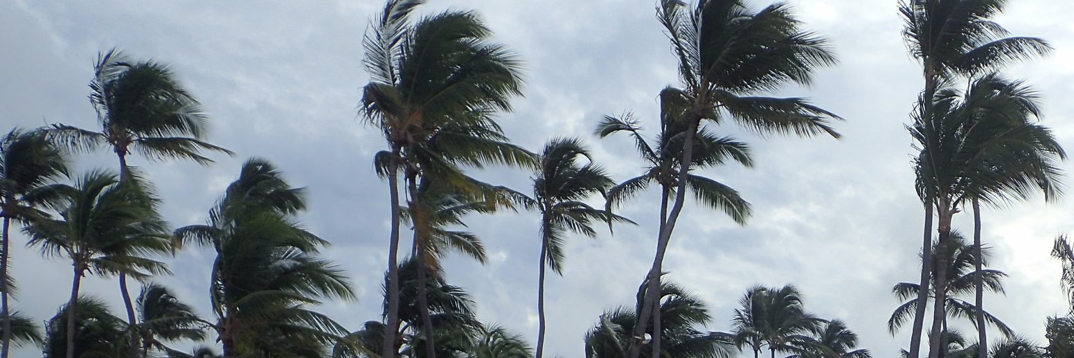 Adricastamel's profile banner image